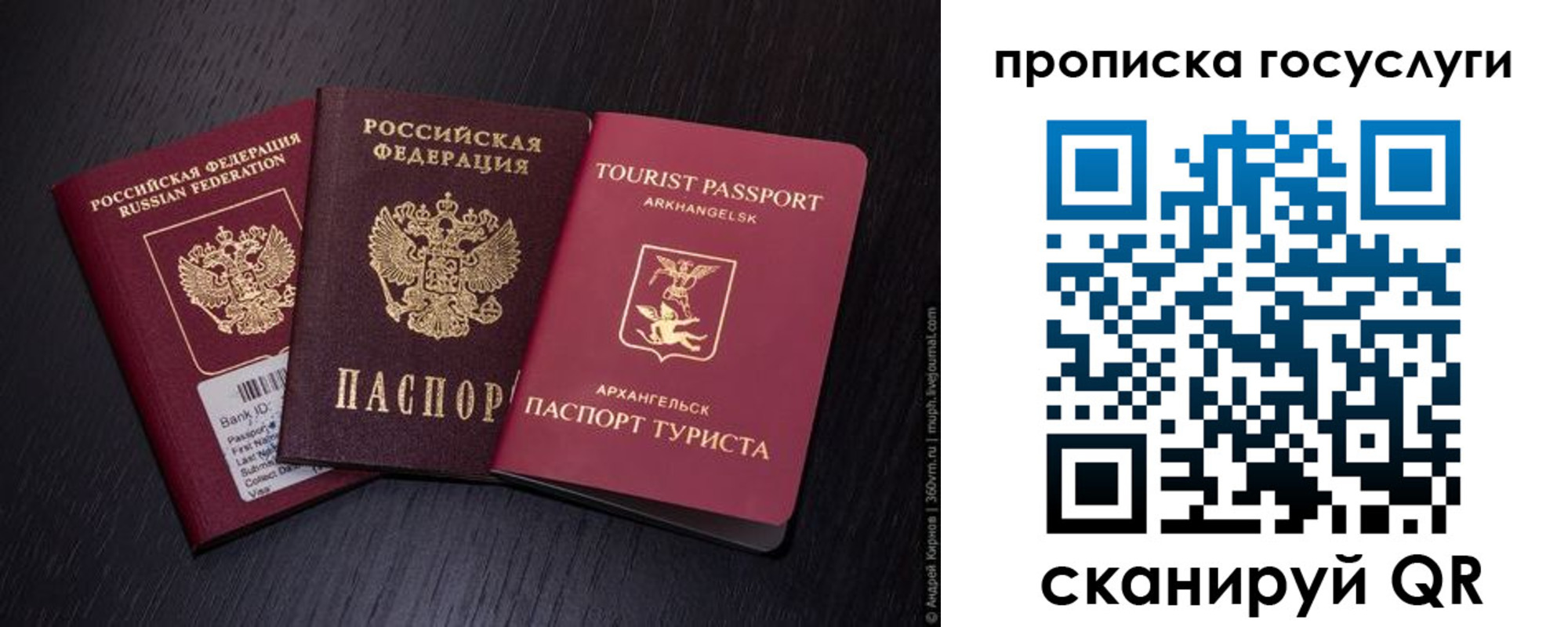 прописка 2025 в Михайловке